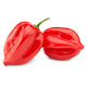pimenta habanero