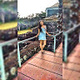 Avatar de Raquel Souza