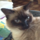 Avatar de Elaine Wind