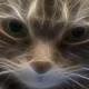 Avatar de Itamar