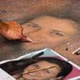 Avatar de Elaine