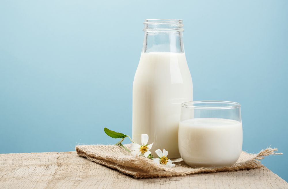 Confira no TudoGostoso: lactose faz mal?