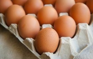 Os ovos são econômicos e versáteis, garantindo pratos deliciosos.