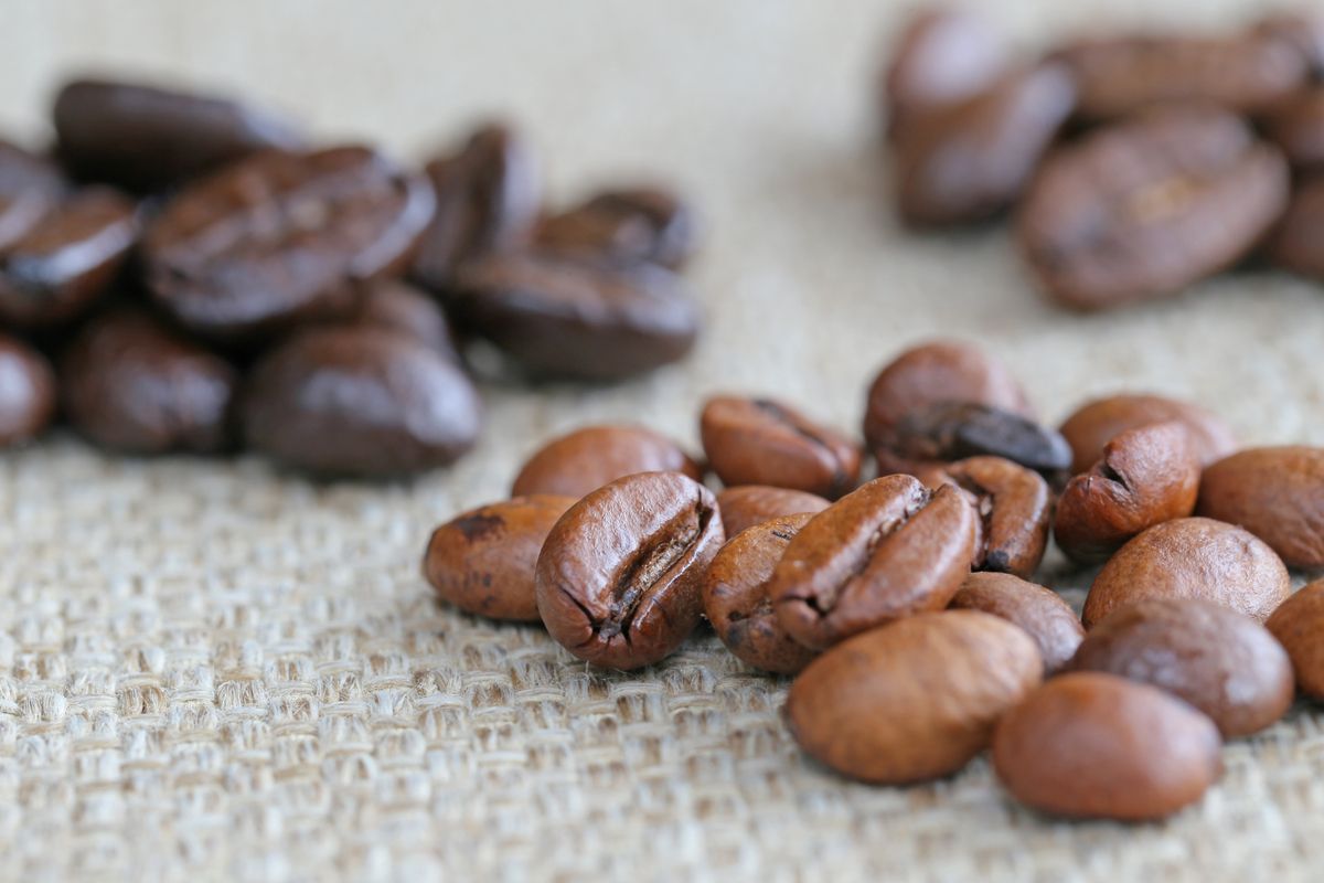 Tipos de café: Arábica e Robusta