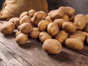 Aposte nas batatas para receitas práticas e muito saborosas.