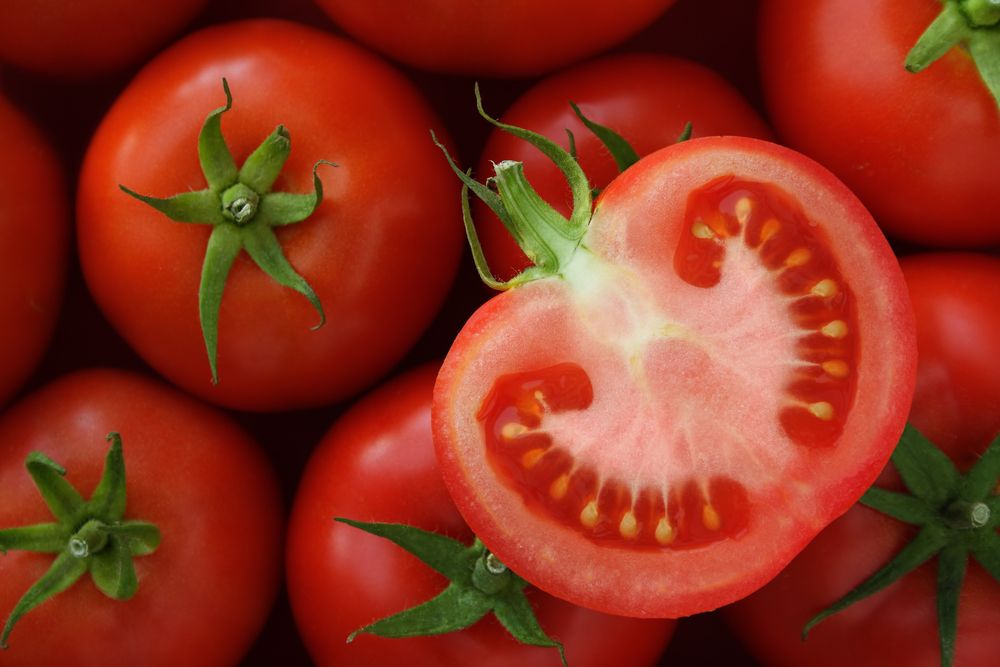 Comer a semente do tomate faz mal? Confira no TudoGostoso - TudoGostoso